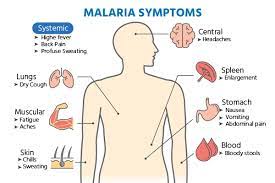 Malaria symptoms