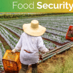 blog-food-security2