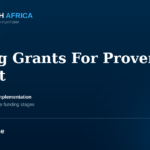 DIV Fund Health Innovation Grants evidence based global development funding