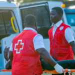 Africa emergency medical teams framework deployment at WHO Regional Committee meeting