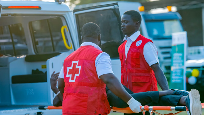 Africa emergency medical teams framework deployment at WHO Regional Committee meeting