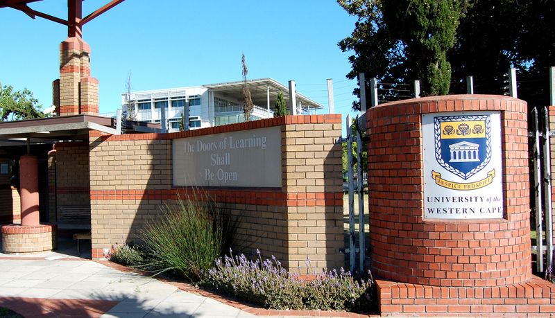 depression rates among south african students with disabilities campus mental health
