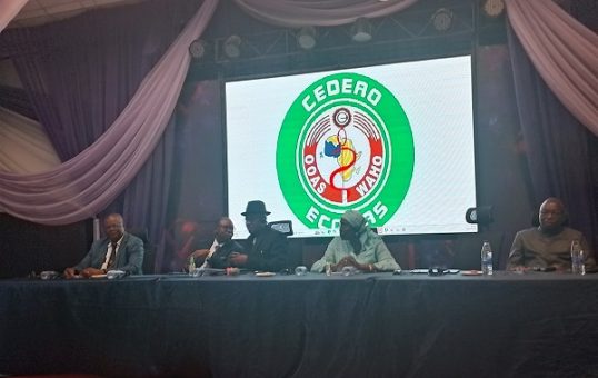 waho reviews ecowas plan to motivate retain health workers abuja