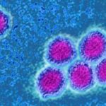 Ghana Confirms Yellow Fever in Sissala East After Seven Deaths yellow fever outbreak ghana public health intervention