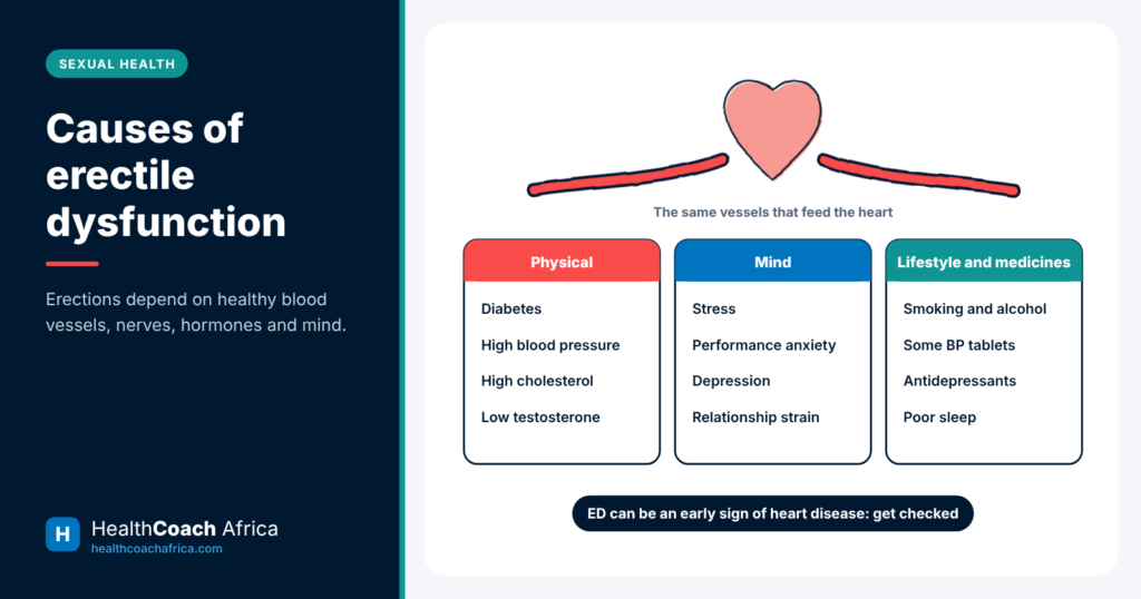 Diagram grouping the physical, psychological and lifestyle causes of erectile dysfunction around the heart and blood vessels