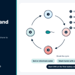 Cholera Symptoms and Prevention: A Practical Guide for Families Diagram of the faecal-oral transmission route with cholera symptoms and prevention steps such as safe water
