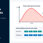 Coping With Panic Attacks: 6 Steps That Calm Your Body Fast Chart of a panic wave peaking at ten minutes, with a breathing guide for coping with panic attacks