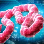 Nigeria Steps Up Ebola Watch After Kenya Confirms First Imported Case nigeria ebola surveillance ncdc port health emergency response