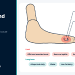 Foot diagram showing uric acid crystals in the big toe with key steps in gout diet and treatment
