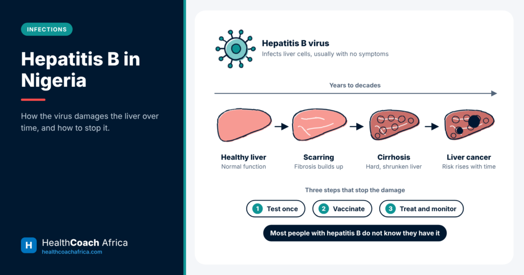Liver diagram showing damage from healthy to cancer, illustrating hepatitis B in Nigeria