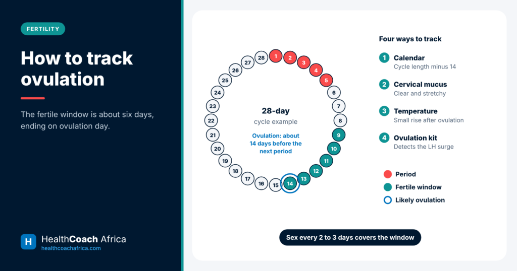 Menstrual cycle diagram showing the fertile window and four ways how to track ovulation