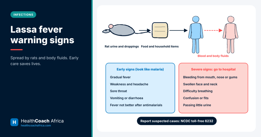 Diagram tracing Lassa fever spread from rats to people, with early and late Lassa fever warning signs