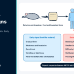 Lassa Fever Warning Signs: Early Action Saves Lives Diagram tracing Lassa fever spread from rats to people, with early and late Lassa fever warning signs