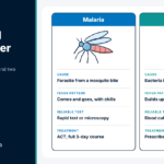 Malaria and Typhoid Fever: How to Tell Them Apart and Treat the Right One Side-by-side diagram comparing the cause, test and treatment of malaria and typhoid fever