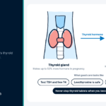 Diagram of the thyroid gland and a baby in the womb, explaining thyroid disease in pregnancy