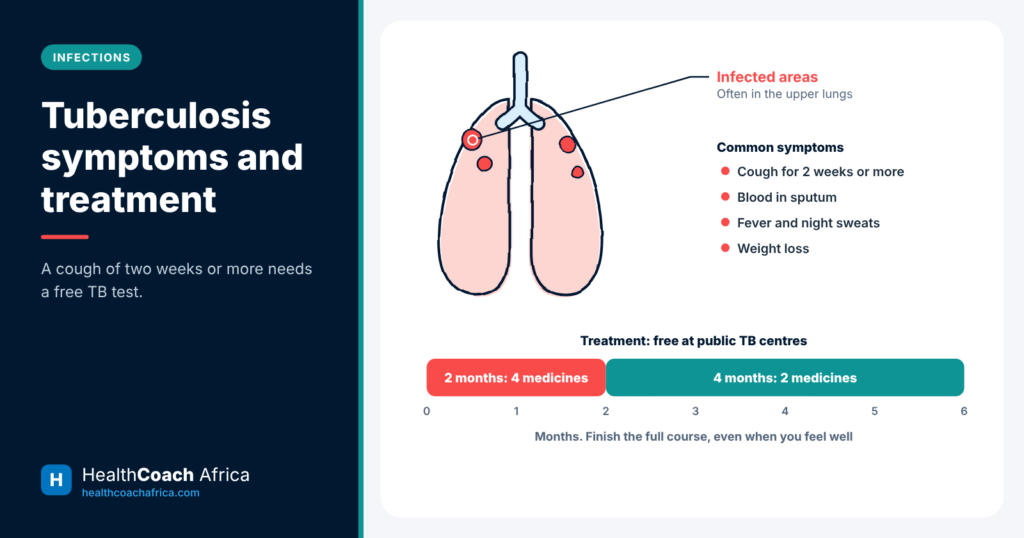 Lung diagram with the main tuberculosis symptoms and treatment phases over six months